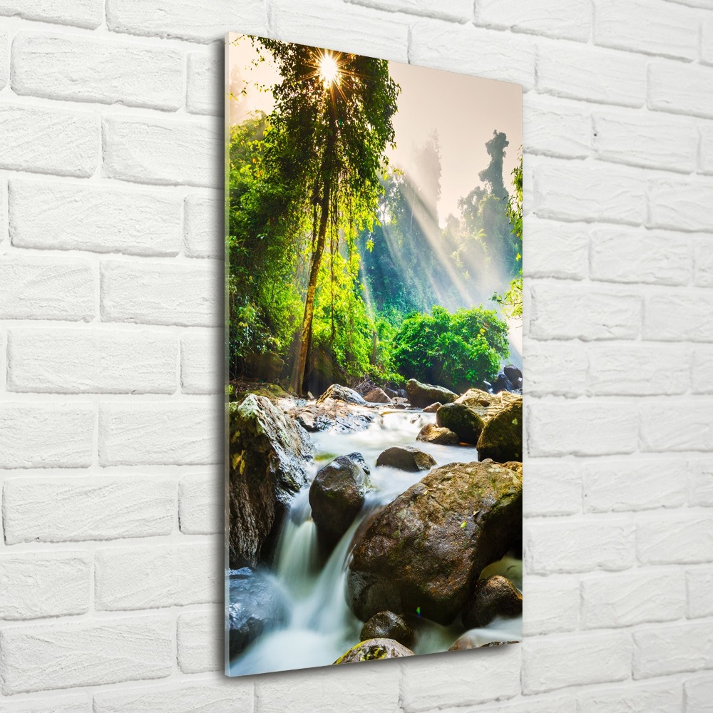 Wall art acrylic Waterfall in the forest