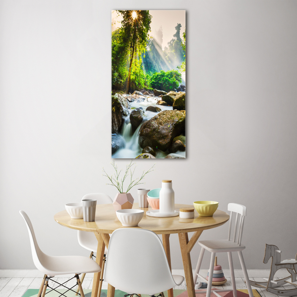 Wall art acrylic Waterfall in the forest