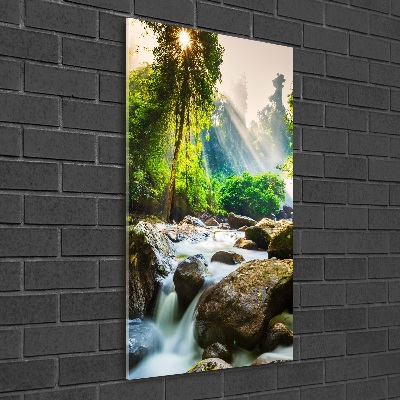 Wall art acrylic Waterfall in the forest