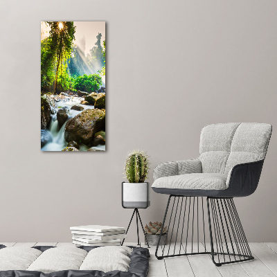 Wall art acrylic Waterfall in the forest