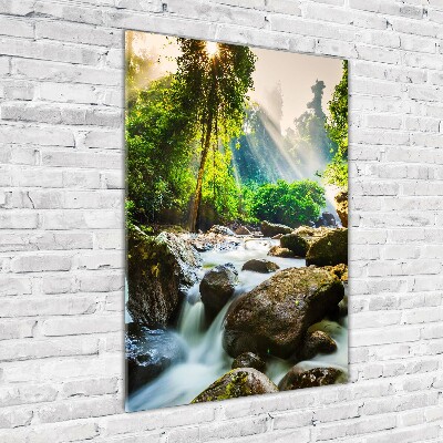 Wall art acrylic Waterfall in the forest