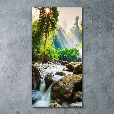 Wall art acrylic Waterfall in the forest