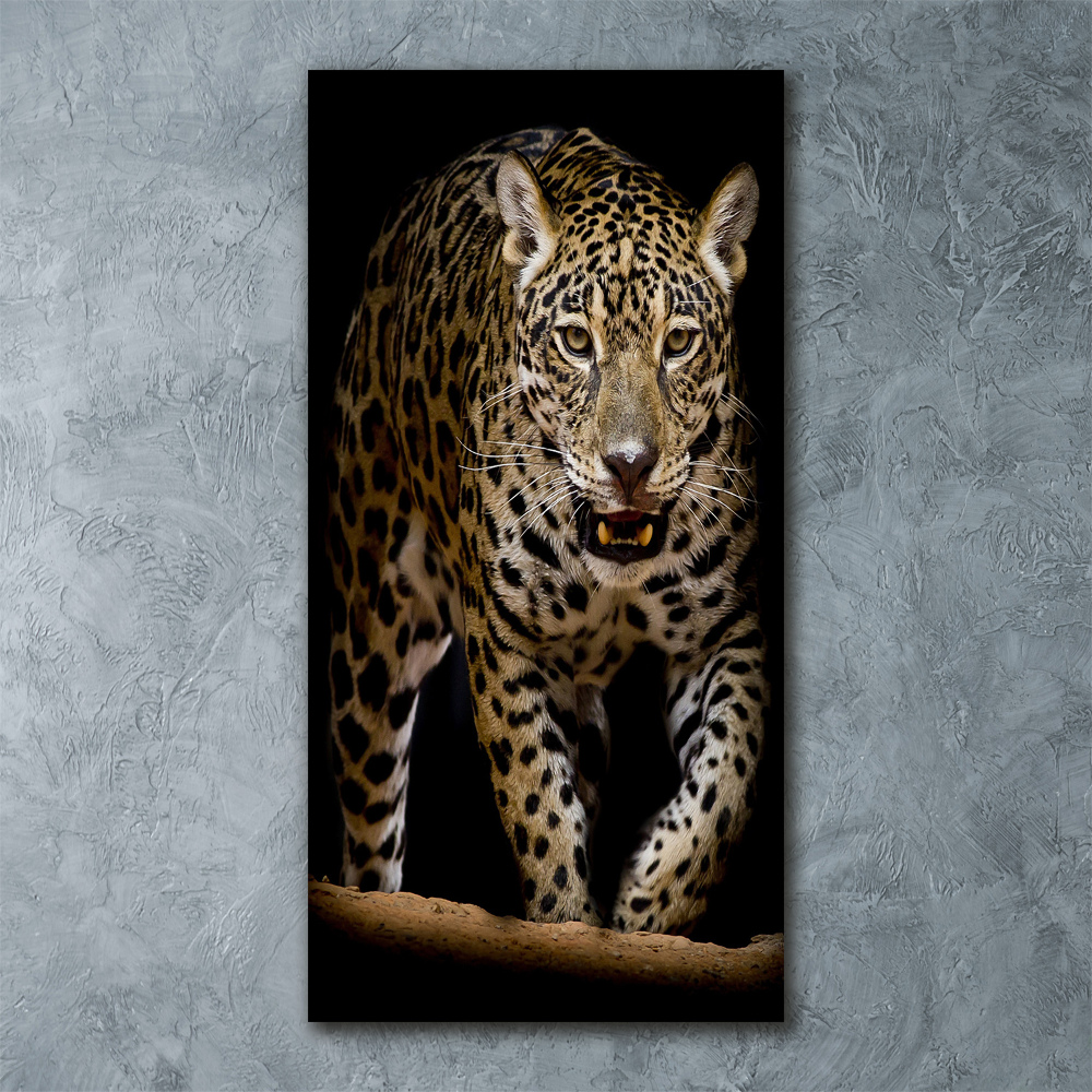 Print on acrylic glass Jaguar