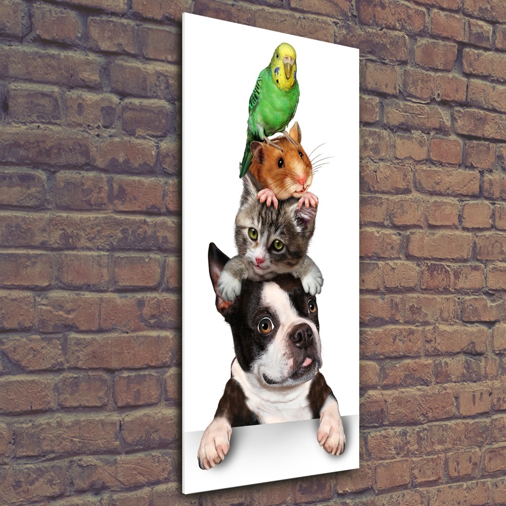 Print on acrylic glass Pets