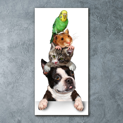 Print on acrylic glass Pets