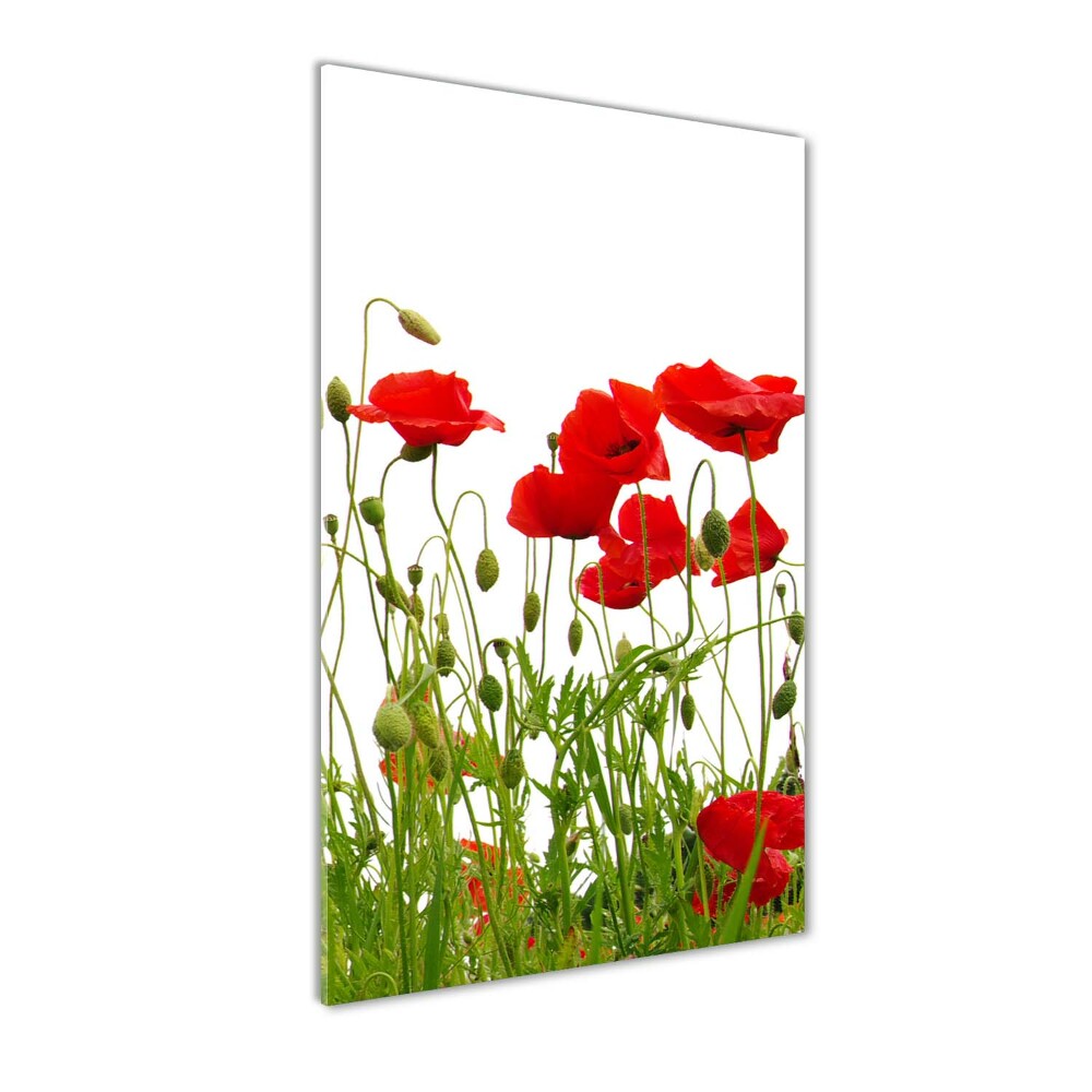 Wall art acrylic Field poppies