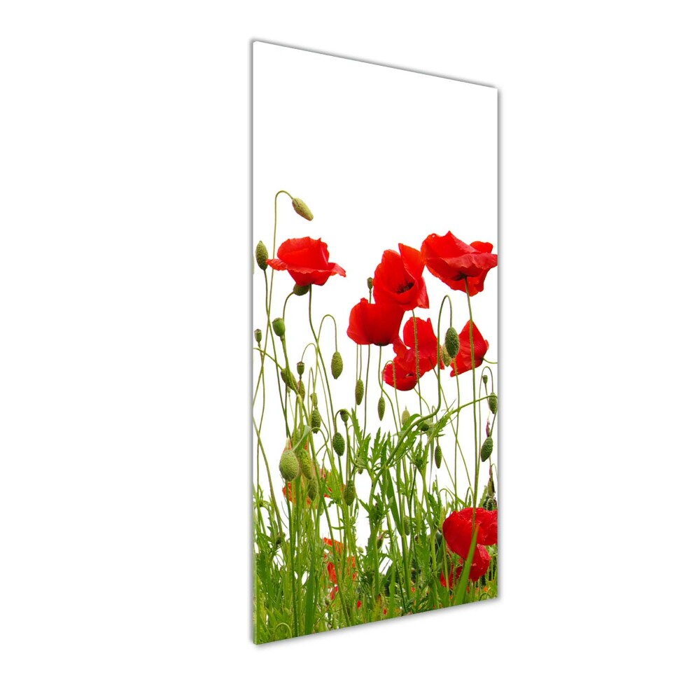 Wall art acrylic Field poppies