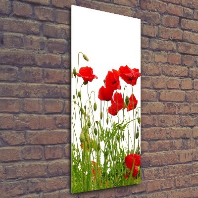 Wall art acrylic Field poppies