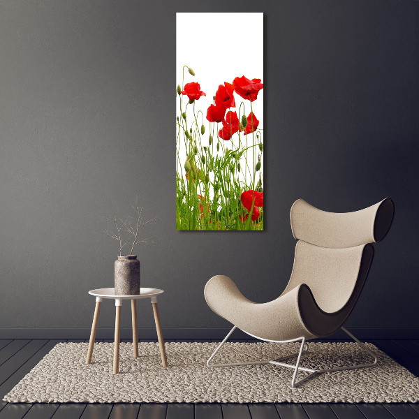 Wall art acrylic Field poppies