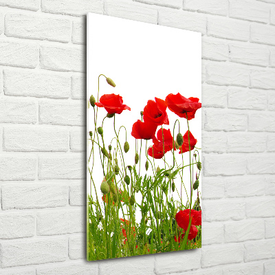 Wall art acrylic Field poppies