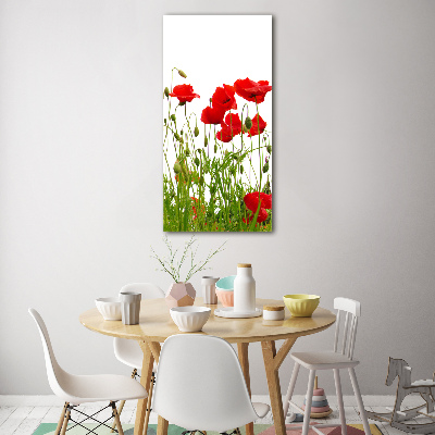 Wall art acrylic Field poppies