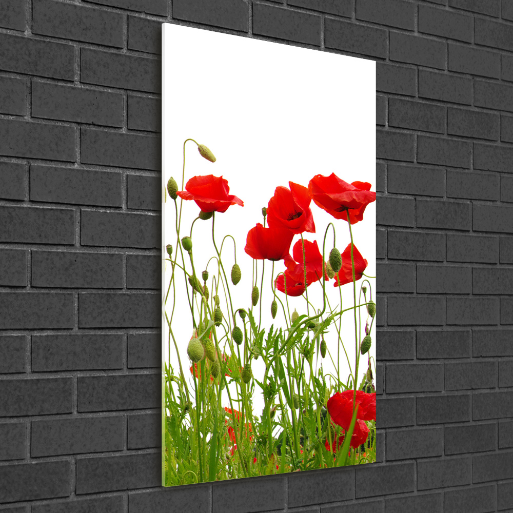 Wall art acrylic Field poppies