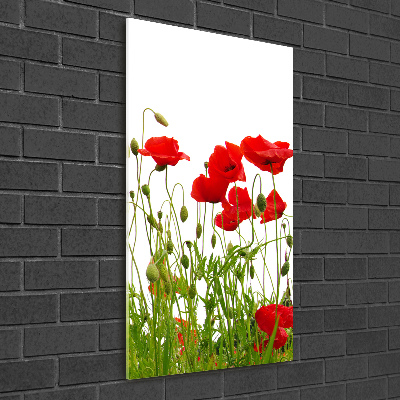 Wall art acrylic Field poppies