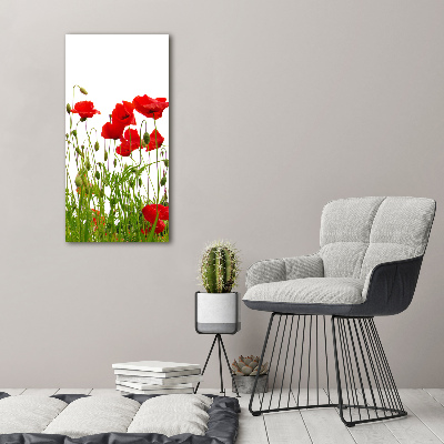 Wall art acrylic Field poppies