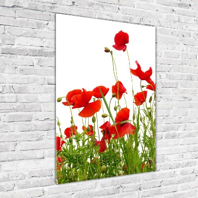 Wall art acrylic Field poppies