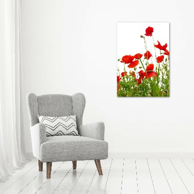 Wall art acrylic Field poppies