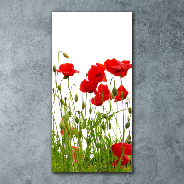 Wall art acrylic Field poppies