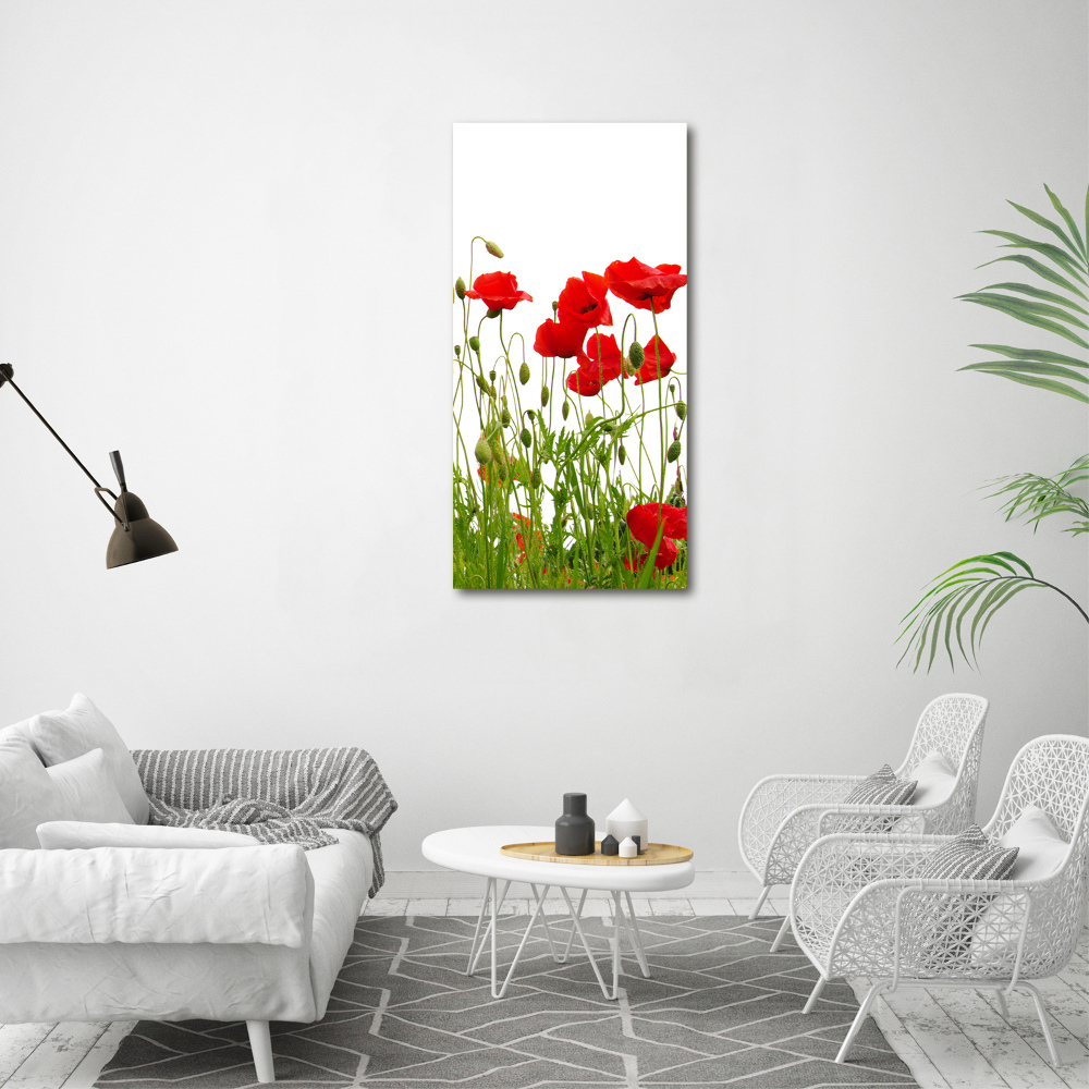 Wall art acrylic Field poppies