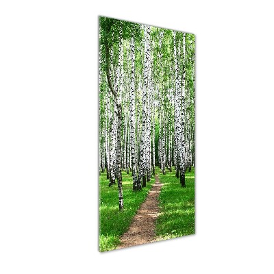 Print on acrylic Birch forest