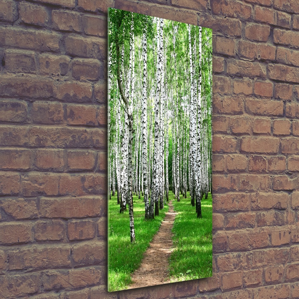 Print on acrylic Birch forest