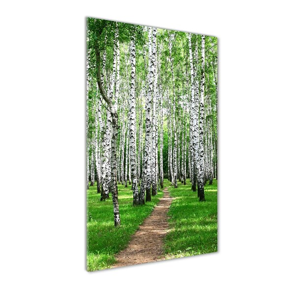 Print on acrylic Birch forest