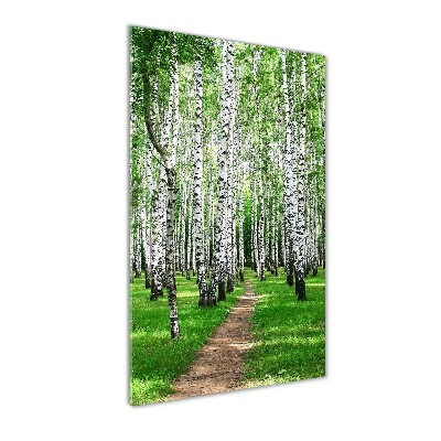 Print on acrylic Birch forest