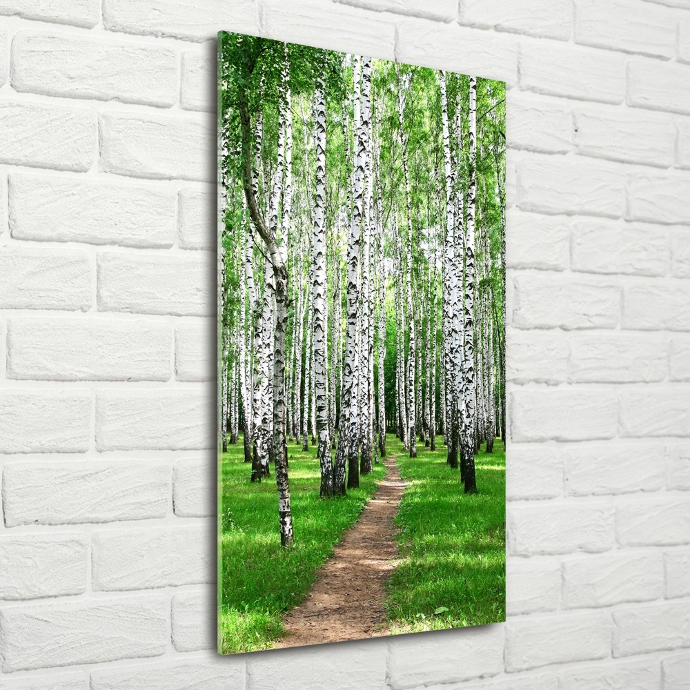 Print on acrylic Birch forest