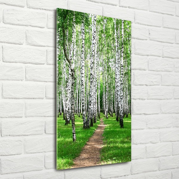 Print on acrylic Birch forest