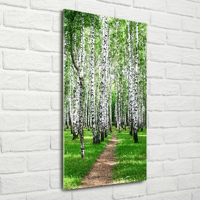 Print on acrylic Birch forest