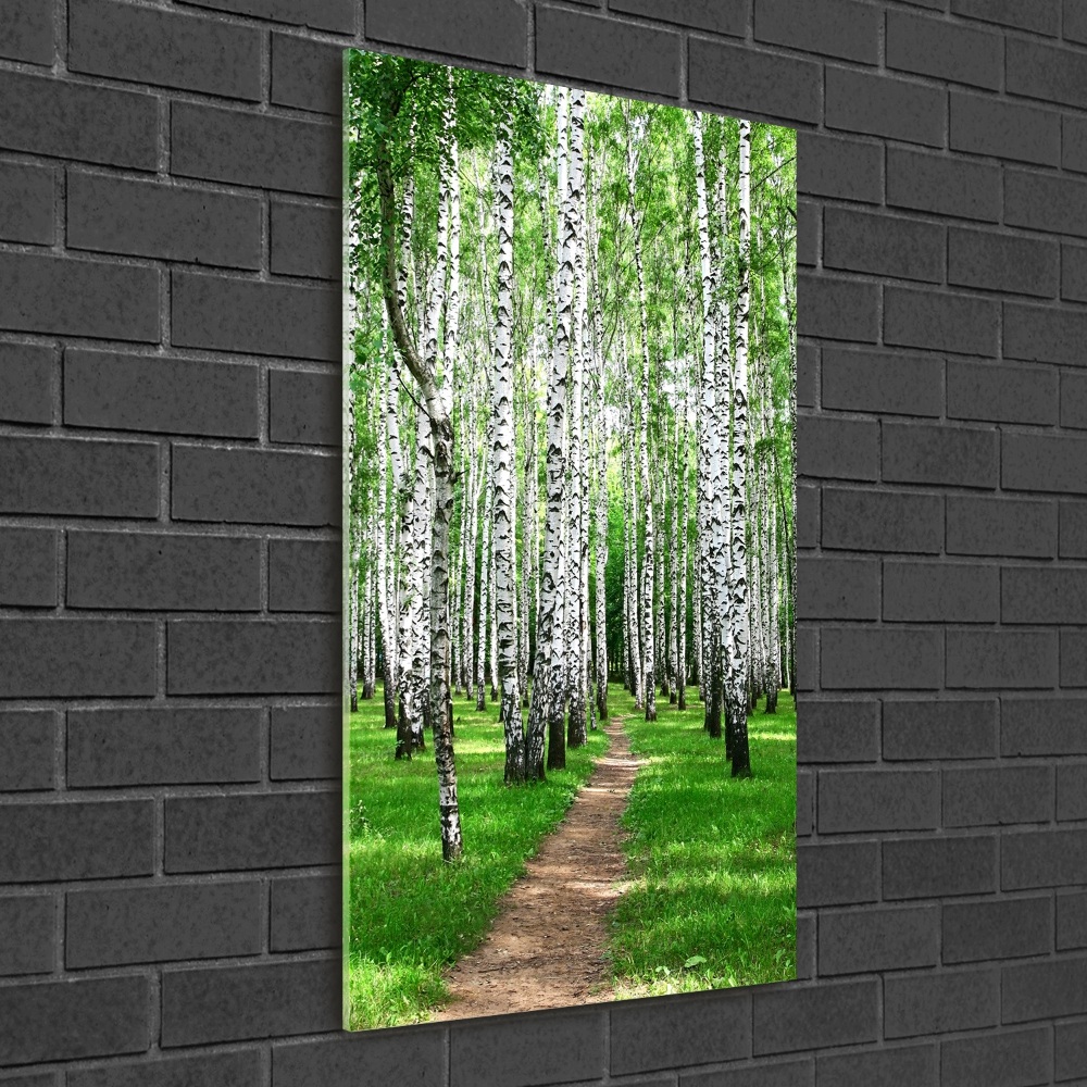 Print on acrylic Birch forest