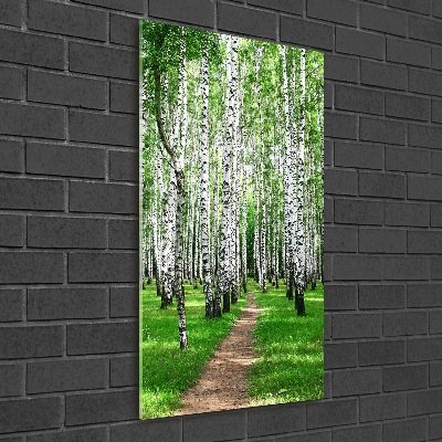 Print on acrylic Birch forest