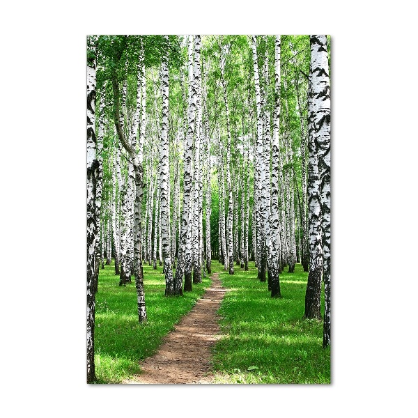 Print on acrylic Birch forest