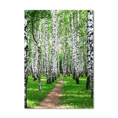 Print on acrylic Birch forest