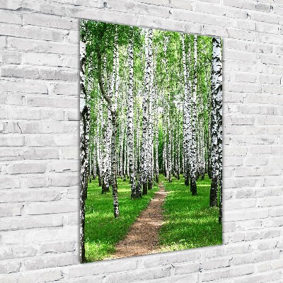 Print on acrylic Birch forest