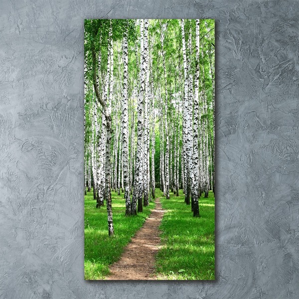 Print on acrylic Birch forest