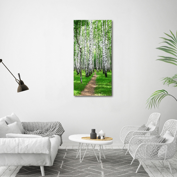 Print on acrylic Birch forest