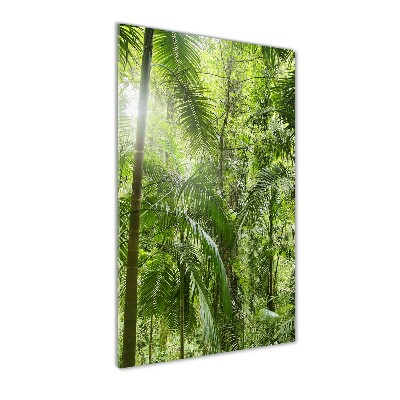 Print on acrylic the rainforest