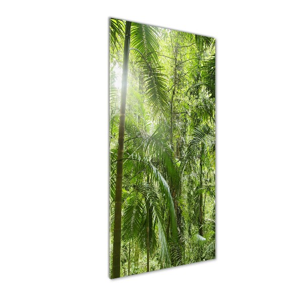 Print on acrylic the rainforest