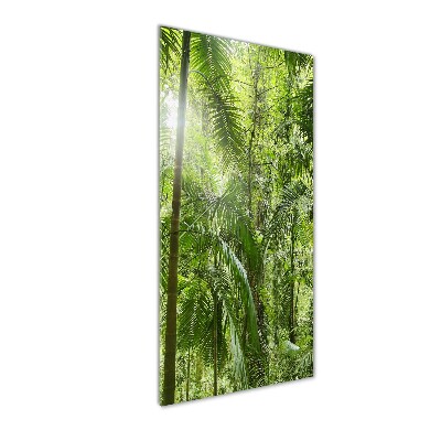 Print on acrylic the rainforest