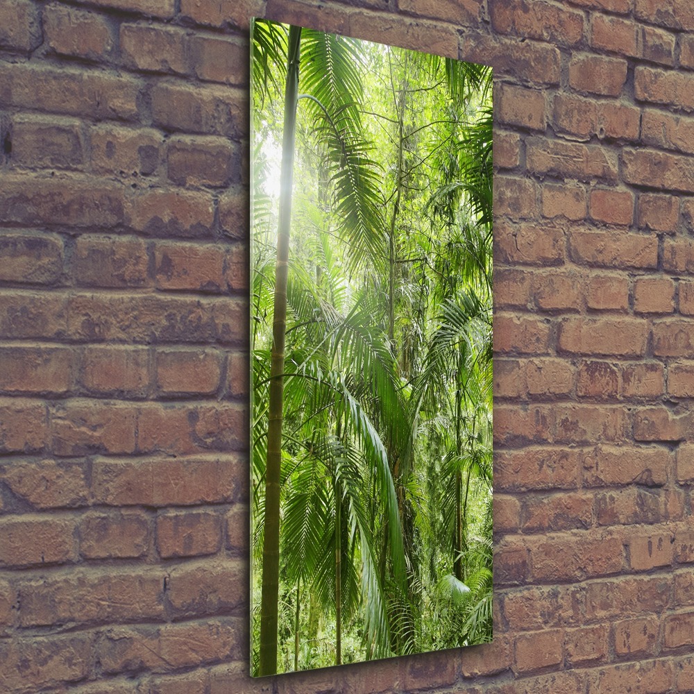 Print on acrylic the rainforest