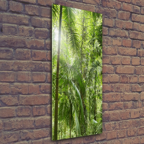 Print on acrylic the rainforest