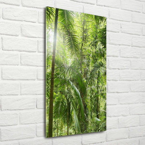 Print on acrylic the rainforest