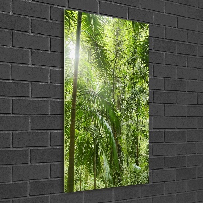 Print on acrylic the rainforest