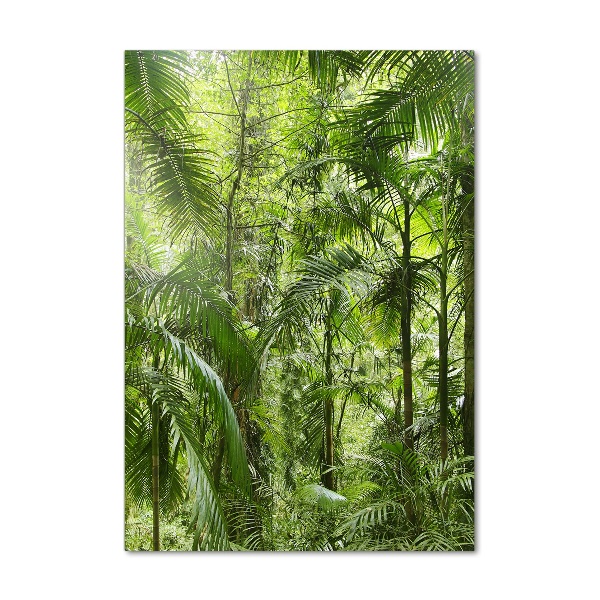 Print on acrylic the rainforest