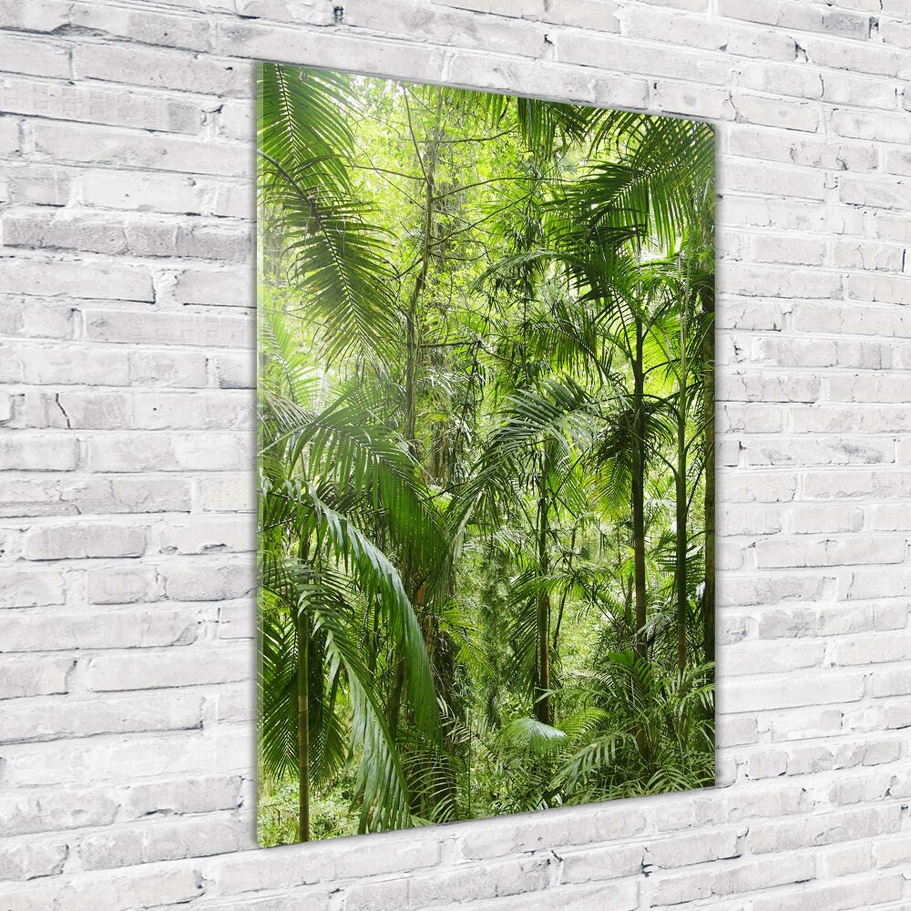 Print on acrylic the rainforest