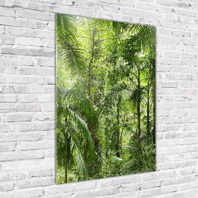 Print on acrylic the rainforest