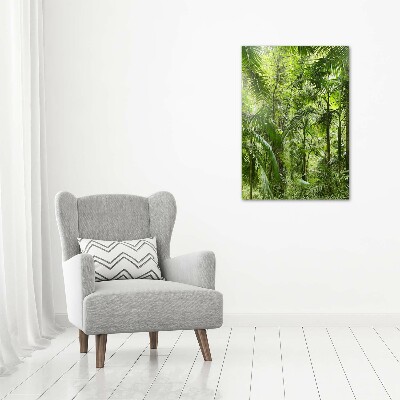 Print on acrylic the rainforest