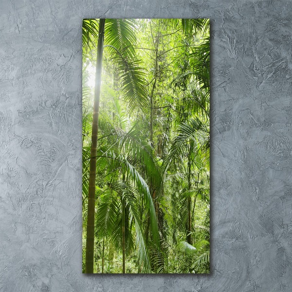 Print on acrylic the rainforest