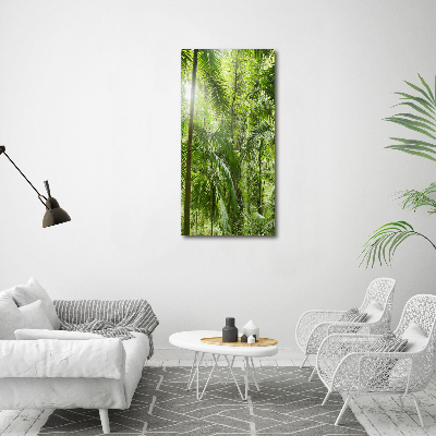 Print on acrylic the rainforest