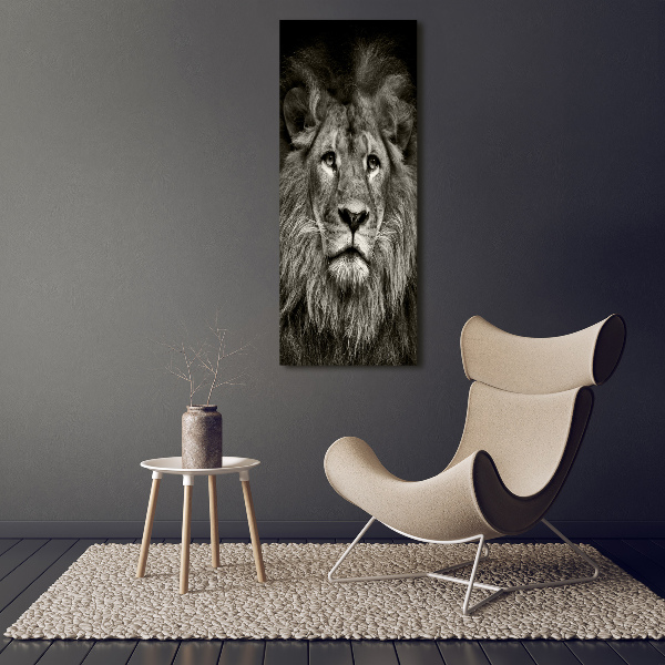 Acrylic glass print Lion